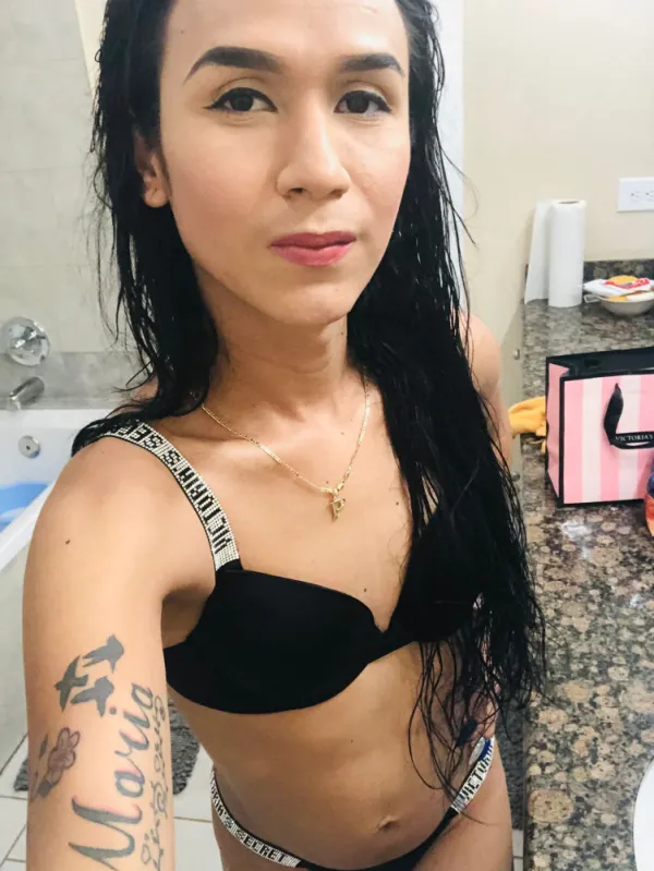 Paloma Avatar Bg