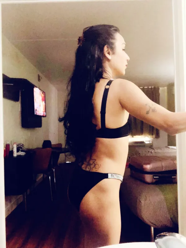 Paloma Avatar Bg