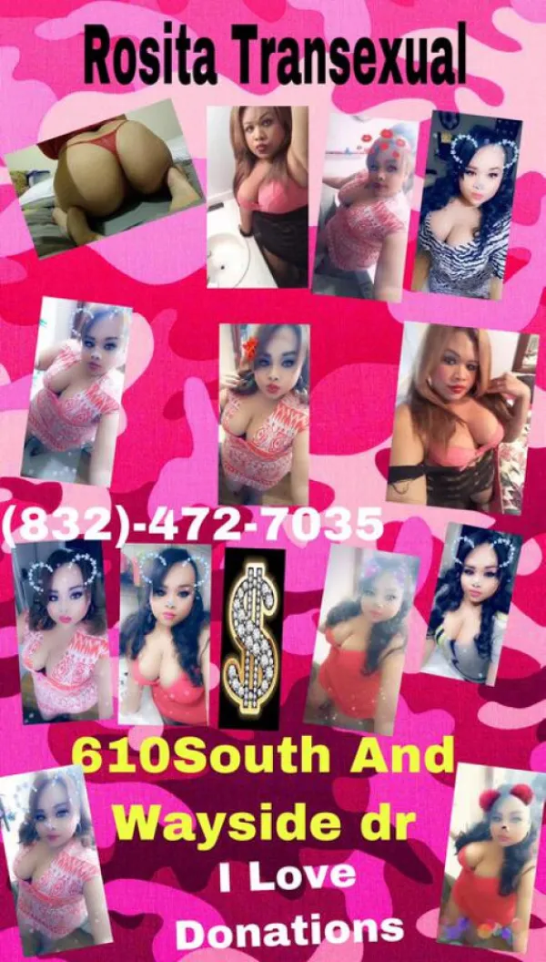 Rosita Transexual Avatar Bg