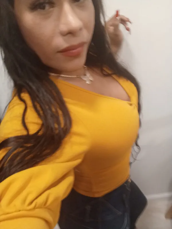 Gala Avatar Bg
