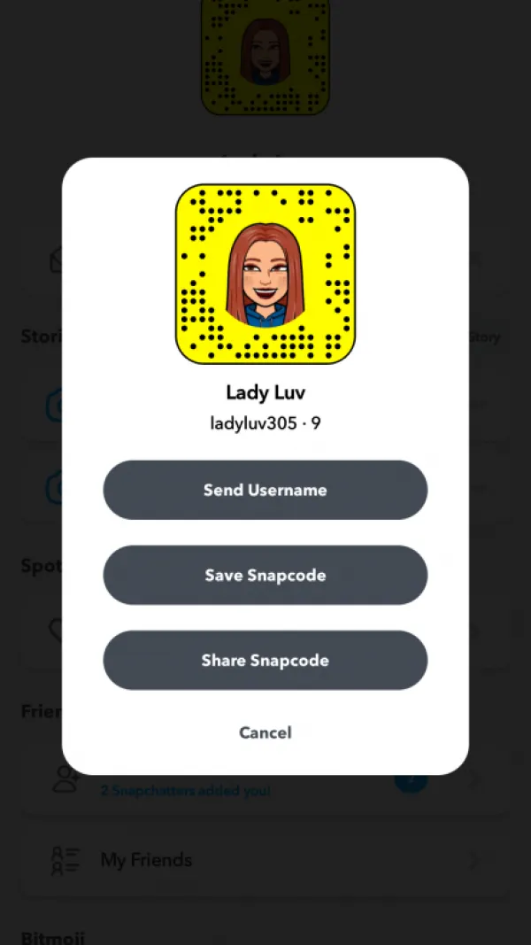 Pretty Pussy Lady Avatar Bg